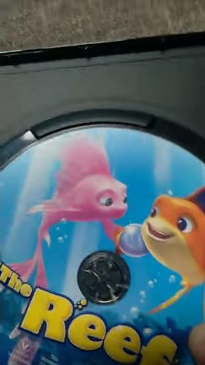 The reef DVD Review