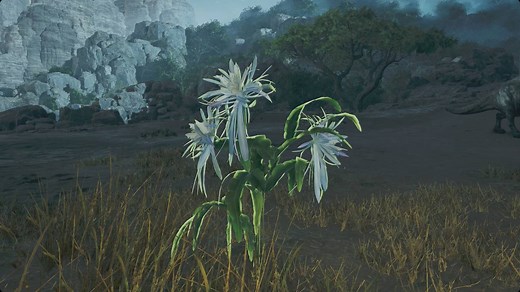 How to get nightflower pollen in Monster Hunter Wilds