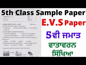 PSEB 5th class EVS model Test paper I Sample Test Paper I Pre Board Paper Question & Answers I Board