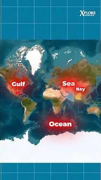 Ocean vs Sea vs Gulf vs Bay — What's the REAL Difference? #youtubeshorts #ytshorts #facts #history