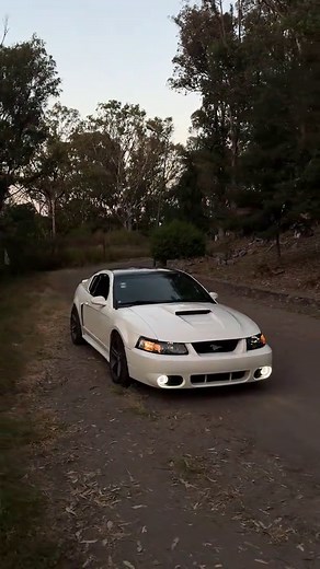 2002 Ford Mustang GT New Edge Overview