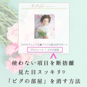 「ピグの部屋」の消してみよう♡