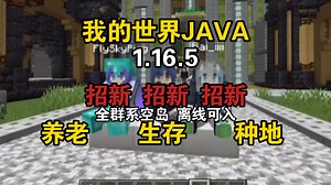 我的世界JAVA1.16.5纯净生存服新服开荒。离线可入