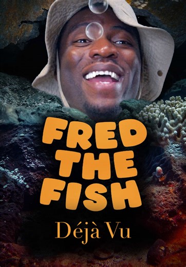 Understanding Deja Vu: Insights and Explanations