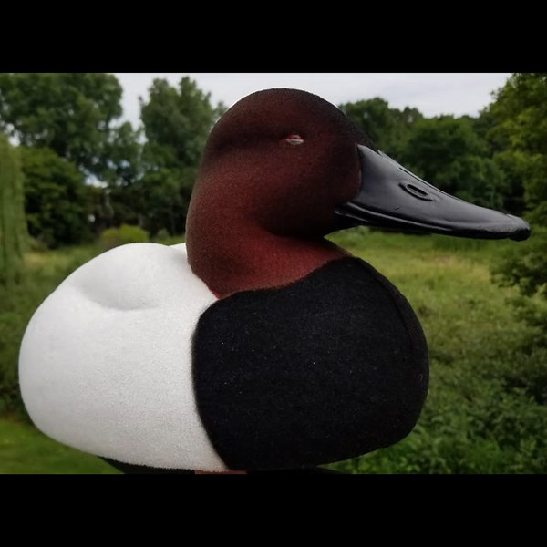 Watch What can you do with flocking on Amazon Live