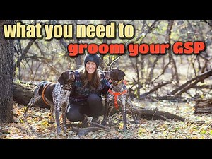 What do I need to groom my GSP?
