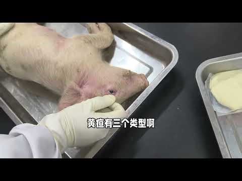 Top 5 Physical Examination Tips for Health