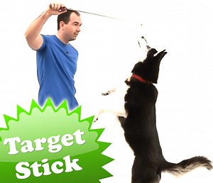 Target / Training Stick - Dog Trick Academy