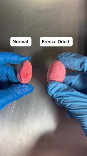 Normal vs Freeze Dried Sweets: Which to Choose?