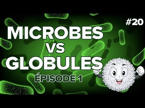 Microbes versus Globules épisode 1 #20 - SVT Collège - Mathrix