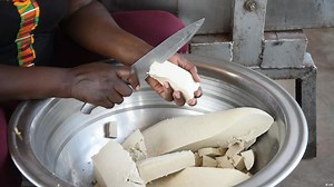 Meat alternative produced by a women's cooperative