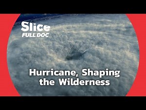 Hurricane : How Nature Copes with Storms - Part 2 | FULL DOCUMENTARY