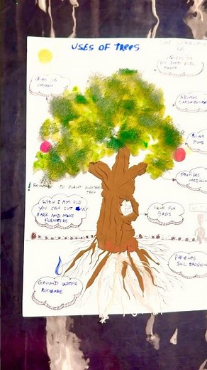 Uses of trees simple and creative project for primary students #schoolprojects #growtrees #creative