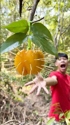 DIY Gloves Spike Hacks for Survival in the Wild