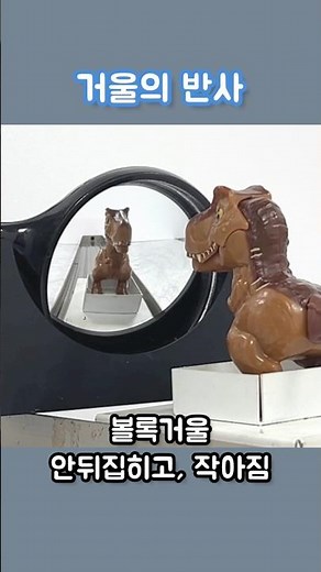 오목거울과 볼록거울. #반사 #Reflection #ConvexMirror #ConcaveMirror #과학실험 #ScientificExperiments
