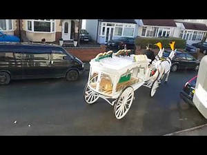 Traditional horse drawn hearse and carriage funeral