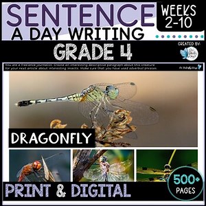 Sentence Writing Grade 4 Weeks 2 to 10