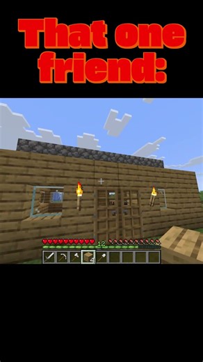 that one guy #minecraft
