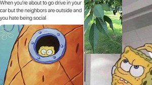 Revisit Bikini Bottom Through Relatable SpongeBob Memes