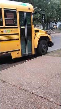 school bus is backing up