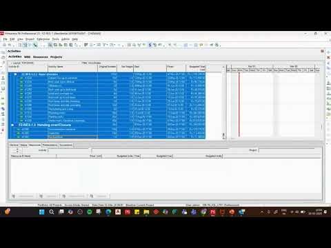 Effective Cost Loading & Budget Tracking Using Primavera P6 | Webinar Recording | Feb 28, 2026