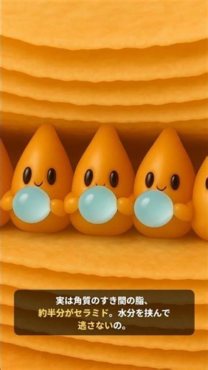【保湿しても乾く人】足りないの、水じゃなくてセラミドかも💧成分表示でチェック✍️ #スキンケア #保湿 #セラミド #乾燥肌 #毛穴ケア #毛穴 #スキンケア初心者 #乾燥肌対策