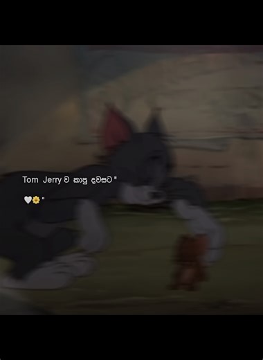 Meaningful Quotes for Lovers to Inspire You