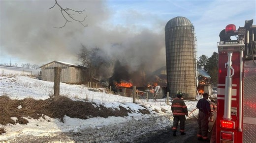 911: Over 30 cows killed in barn fire in Jordan Township