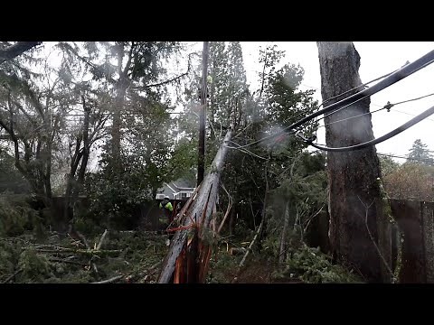 Downed Powerline Safety