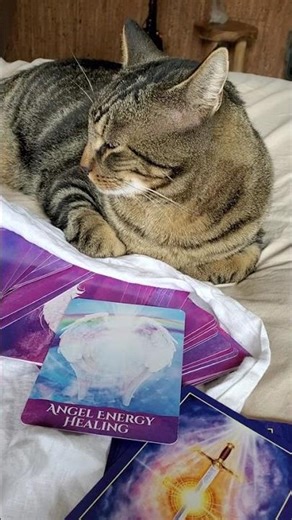 Angel Energy Healing Invocation 💫🌷😺💖✨