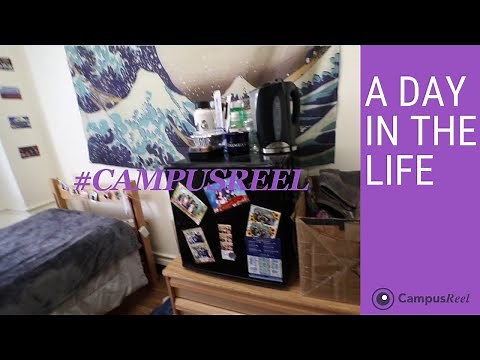 Columbia University College Dorm Room Tour