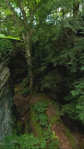 Looking for an unforgettable summer escape? Come explore the ancient trails of Panama Rocks by day — and relax in a luxury glamping tent by night ✨ #panamarocks | Panama Rocks Scenic Park
