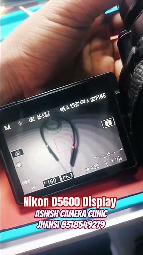 nikon D5600 Display Problem