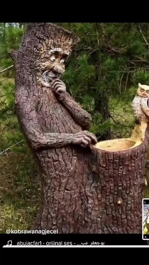 Artistic Representations of Trees and Nature