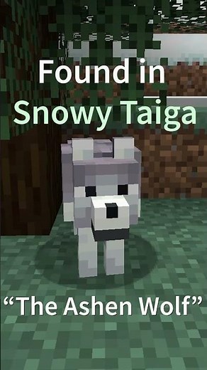 NEW Minecraft Wolves! All variants and where to find them #shorts