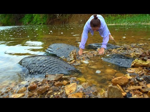 Natural pearls in fresh water can be broken apart from a clam to make a pile of pearls