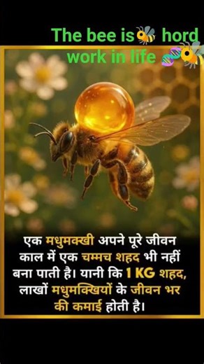 the bee 🐝 in hord work in the Life 🧬🐝🧬😱🌄😱😱🥺