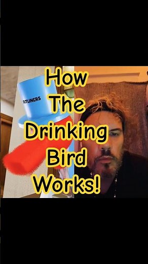 How The Drinking Bird Works?