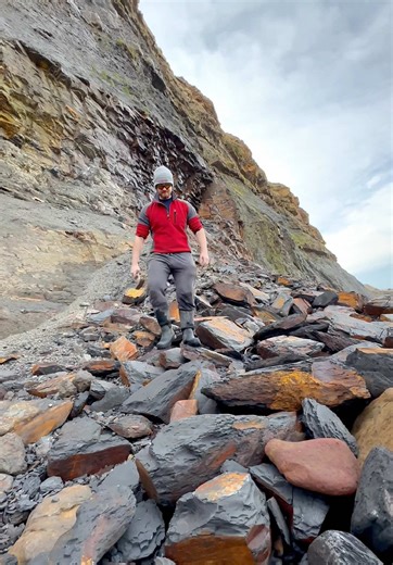 Jurassic Age Fossil Discovery at the Beach