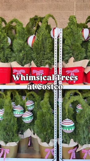 Day 28 🎁 New Grinch inspired whimsical trees at Costco with twinkle lights ✨ Costco’s whimsical trees are a good gift idea because they are a unique, pre-lit, and easy-to-set-up decoration that adds instant cheer and holiday magic to any space so versatile and convenient. | Costconewdeals
