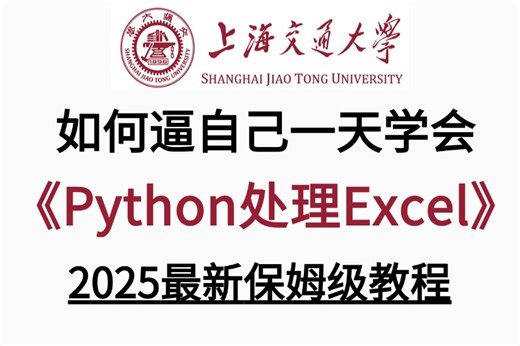 2025新版【3小时学会用Python处理Excel及各种自动化办公小案例】（从此拒绝无效加班）保姆级教程，全程干货无废话，草履虫都能学！
