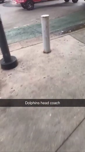 It’s real and it’s fabulous 😂🐬 | Meadowlark Media