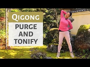 PURGE AND TONIFY | QIGONG | TCM