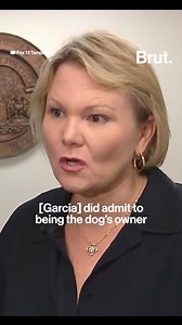 9.5K views · 144 reactions | Remember this viral video of a dog tied to a pole in the path of Hurricane Milton? Here’s an update on the dog and its owner who left him. #hurricanemilton #dogrescue #update #animalprotection | Brut | Facebook