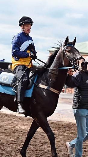 🐴 Pharari 📍 Cranbourne Training Tracks 🏡 @ciaronmaherracing 🏇🏼 @djzoro27 #teamFIRST @sthsideracing | First Light Racing