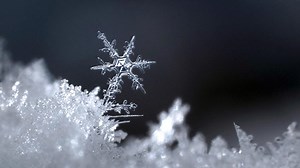 Let It Snow!