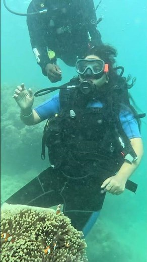 Scuba vs Snorkeling in Andaman | Don’t Book Before Watching This