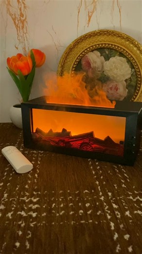 Transform Your Home with an Essential Oil Diffuser