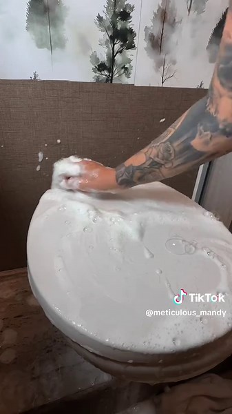 I had to do it… #sudsycleaning #CleanTok