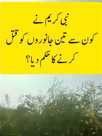 General Knowledge in Urdu: Exploring Islamic Insights